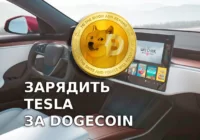 Doge Coin может использоваться для оплаты на зарядных станциях Tesla